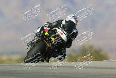 media/Jan-13-2024-SoCal Trackdays (Sat) [[9c032fe5aa]]/Turn 9 Backside (110pm)/